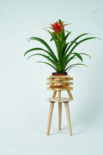 Load image into Gallery viewer, Wooden Multifunctional Plant Stand - Modern Home Decor, Wood Planter Holder for Flower Pots, For Living Room Bedroom Balcony Indoor and Outdoor - Kids Stool-(Natural)