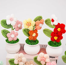 Load image into Gallery viewer, Crochet Flowers Artificial Daisy for Office Desk Car Dashboard Decor,Home Decoration, Office, Bedroom, Christmas Decor, Wedding,Diwali. (Triple Pink Daisy with Pot)
