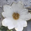 Load image into Gallery viewer, Gold and White Resin Flower Bowl, Home Decor, Housewarming Gift, Wedding, Birthday, Holidays, Custom, Decorative Dish - Pack of 2
