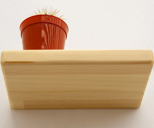 Load image into Gallery viewer, Wood Floating Shelf, Custom Size Floating Shelf, Wall Mounted Floating Custom Sized Floating Shelf - Set of 2