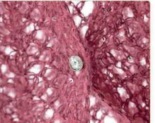 Load image into Gallery viewer, Ladies’ textured cardigan, Crocheted Top Making DIY Kit , DIY Crochet Kit Yarn, Crochet Material Kit with Yarn, Crochet Needles, Tools & Accessories, Crochet Kit Starter, Craft Kits for Adults