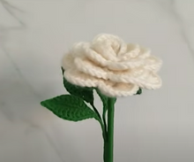 Load image into Gallery viewer, Crochet Rose making Kit with Video Instructions and DIY material