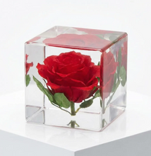 Load image into Gallery viewer, Rose in Crystal Cube, Flower in Resin Cube, Valentine Gift , Gift for Couple, Wedding Gift, Anniversary Gift, preserved Fower