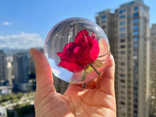 Load image into Gallery viewer, Preserved Red Rose Resin Sphere: Romantic Valentine's Gift Perfect Holiday Gift of Love