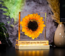 Load image into Gallery viewer, SUNFLOWER Night Lamp, Real Sunflower Block, Resin Paperweight, Sunflower Night Light, Sunflower Ornament Valentine gift for her