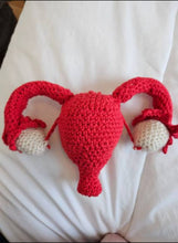 Load image into Gallery viewer, Prosthetic Uterus, woolen Uterus, Crochet Uterus for demonstration and teaching purpose, Pelvis