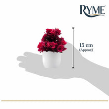 Load image into Gallery viewer, Ryme Plastic Small/Mini Fake Wild Artificial Plant with Pot/Vase for Home Office Decor Dimensions: 5 cm X 13 cm, Multi
