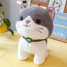 Load image into Gallery viewer, Soft Toy Cat , Random Color Adorable cat Stuffed Toy
