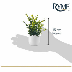 Ryme Plastic Small/Mini Fake Wild Artificial Plant with Pot/Vase for Home Office Decor Dimensions: 5 cm X 13 cm, Multi