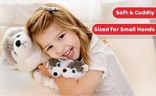 Load image into Gallery viewer, Webby Plush Husky Dog Stuffed Animal Puppy Soft Toy, Birthday Gift, Adorable Gifts for Kids and Adult, Glitter Eyes Soft Toy, 35CM (Grey) | Rakhi/Raksha Bandhan/Birthday Gift for Boys &amp; Girls
