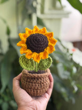 Load image into Gallery viewer, Handmade Crochet Flower Set - Sunflowers &amp; Daisies Knitted Potted Plants for Car Dash, Table, and Home Decoration – Pack of 1
