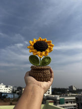 Load image into Gallery viewer, Handmade Crochet Flower Set - Sunflowers &amp; Daisies Knitted Potted Plants for Car Dash, Table, and Home Decoration – Pack of 1
