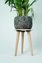 Load image into Gallery viewer, Wooden Multifunctional Plant Stand - Modern Home Decor, Wood Planter Holder for Flower Pots, For Living Room Bedroom Balcony Indoor and Outdoor - Kids Stool-(Natural)
