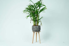 Load image into Gallery viewer, Wooden Multifunctional Plant Stand - Modern Home Decor, Wood Planter Holder for Flower Pots, For Living Room Bedroom Balcony Indoor and Outdoor - Kids Stool-(Natural)
