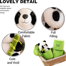 Load image into Gallery viewer, Storescent Cute Panda Plush with Bamboo, Kawaii Soft Panda in Bamboo Stuffed Animals Toy, Plushies Doll Gifts for Kids Girls Boys Birthday Valentine (Panda in Bamboo)
