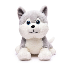 Load image into Gallery viewer, Webby Plush Husky Dog Stuffed Animal Puppy Soft Toy, Birthday Gift, Adorable Gifts for Kids and Adult, Glitter Eyes Soft Toy, 35CM (Grey) | Rakhi/Raksha Bandhan/Birthday Gift for Boys &amp; Girls

