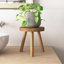 Load image into Gallery viewer, Wooden Multifunctional Plant Stand - Modern Home Decor, Wood Planter Holder for Flower Pots, For Living Room Bedroom Balcony Indoor and Outdoor - Kids Stool-(Natural)
