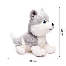 Load image into Gallery viewer, Webby Plush Husky Dog Stuffed Animal Puppy Soft Toy, Birthday Gift, Adorable Gifts for Kids and Adult, Glitter Eyes Soft Toy, 35CM (Grey) | Rakhi/Raksha Bandhan/Birthday Gift for Boys &amp; Girls
