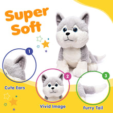 Load image into Gallery viewer, Webby Plush Husky Dog Stuffed Animal Puppy Soft Toy, Birthday Gift, Adorable Gifts for Kids and Adult, Glitter Eyes Soft Toy, 35CM (Grey) | Rakhi/Raksha Bandhan/Birthday Gift for Boys &amp; Girls
