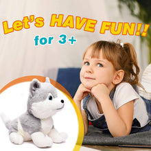 Load image into Gallery viewer, Webby Plush Husky Dog Stuffed Animal Puppy Soft Toy, Birthday Gift, Adorable Gifts for Kids and Adult, Glitter Eyes Soft Toy, 35CM (Grey) | Rakhi/Raksha Bandhan/Birthday Gift for Boys &amp; Girls

