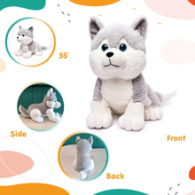 Load image into Gallery viewer, Webby Plush Husky Dog Stuffed Animal Puppy Soft Toy, Birthday Gift, Adorable Gifts for Kids and Adult, Glitter Eyes Soft Toy, 35CM (Grey) | Rakhi/Raksha Bandhan/Birthday Gift for Boys &amp; Girls
