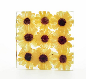 Resin Preserved Sunflower, Real Sunflower Resin Block,Gift for Her,Home Decor,