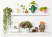 Load image into Gallery viewer, Modern White Floating Shelf, Custom Size Floating Shelf with Bracket, Wood Floating Shelf for Kitchen Bathrooom, Gift for Home
