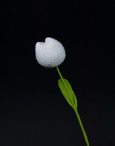 Handmade Crochet Tulip- Pack of 1 - (Select your Color), woolen Tulip for gift