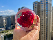 Load image into Gallery viewer, Preserved Red Rose Resin Sphere: Romantic Valentine's Gift Perfect Holiday Gift of Love
