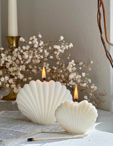 Pack of 6 Undyed Sea Shell Candle, Sea Shell Candle, Minimalist, Decorative Soy Wax Candle, Clamshell candle, Aesthetic Candle