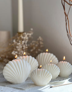 Pack of 6 Undyed Sea Shell Candle, Sea Shell Candle, Minimalist, Decorative Soy Wax Candle, Clamshell candle, Aesthetic Candle