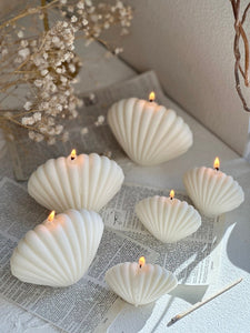 Pack of 6 Undyed Sea Shell Candle, Sea Shell Candle, Minimalist, Decorative Soy Wax Candle, Clamshell candle, Aesthetic Candle