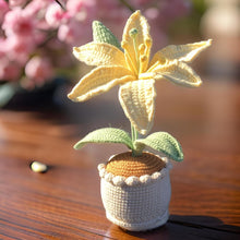 Load image into Gallery viewer, Handmade Crochet Lily in Yarn Pot: Floral Home Accent
