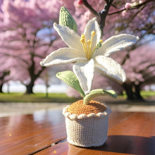 Load image into Gallery viewer, Handmade Crochet Lily in Yarn Pot: Floral Home Accent
