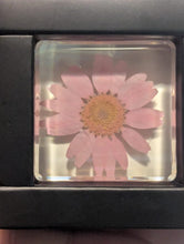 Load image into Gallery viewer, Real Daisy Flower Preserved in Resin, Valentine Gift, Couple Gift, Anniversary Gift - Pack of 2
