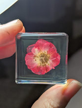 Load image into Gallery viewer, Rose Flower , Preserved in Resin, Preserved Rose, Valentine Gift, Couple Gift
