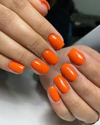 Orange Shade Medium Length Plain Nail Art Artificial/Fake Press on Nails for Girls and Women