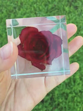 Load and play video in Gallery viewer, Rose in Crystal Cube, Flower in Resin Cube, Valentine Gift , Gift for Couple, Wedding Gift, Anniversary Gift, preserved Fower
