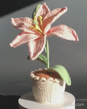 Load and play video in Gallery viewer, Handmade Crochet Lily in Yarn Pot: Floral Home Accent
