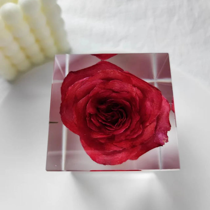 Rose in Crystal Cube, Flower in Resin Cube, Valentine Gift , Gift for Couple, Wedding Gift, Anniversary Gift, preserved Fower