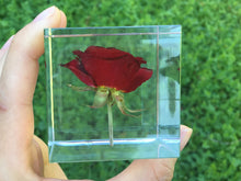 Load image into Gallery viewer, Rose in Crystal Cube, Flower in Resin Cube, Valentine Gift , Gift for Couple, Wedding Gift, Anniversary Gift, preserved Fower
