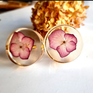 Resin Knobs for your wardrobe or Drawer, Real flower resin Knobs and handles for drawer and wardrobe, resin hardware - set of 2