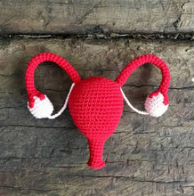 Load image into Gallery viewer, Prosthetic Uterus, woolen Uterus, Crochet Uterus for demonstration and teaching purpose, Pelvis
