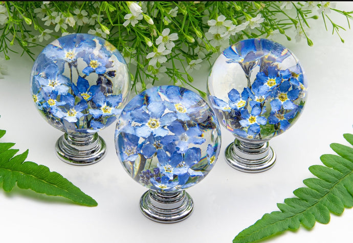 Resin Knobs for your wardrobe or Drawer, Real flower resin Knobs and handles for drawer and wardrobe, resin hardware - set of 2