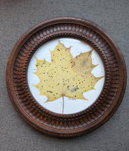 Load image into Gallery viewer, Natural Wood Handcrafted Carved Mirror or photo frame
