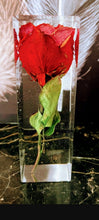 Load image into Gallery viewer, Real Rose preserved for life time in Resin, memorable gift , couple gift , anniversary gift, gift for boy friend and girl friend
